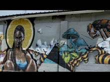 Load and play video in Gallery viewer, #AshevilleStreetArt